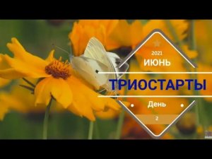 #триостарты_июнь Хейворд  День 2