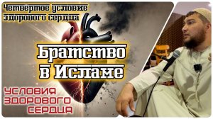Братство в Исламе (четвёртое условие здорового сердца) [4]