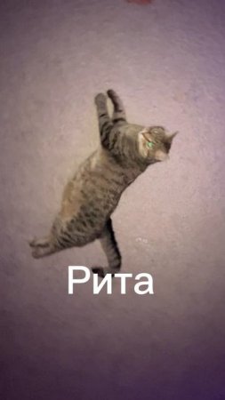 Рита