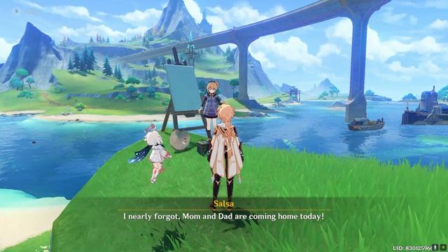 Place the object in a suitable location Genshin Impact смотреть онлайн