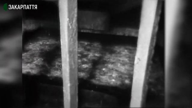 День шахтаря в Солотвині смотреть онлайн