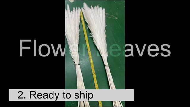 Dried Flowers Supplier from China providing high-quality products смотреть онлайн