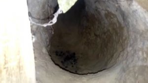 Содержание кроликов  в яме