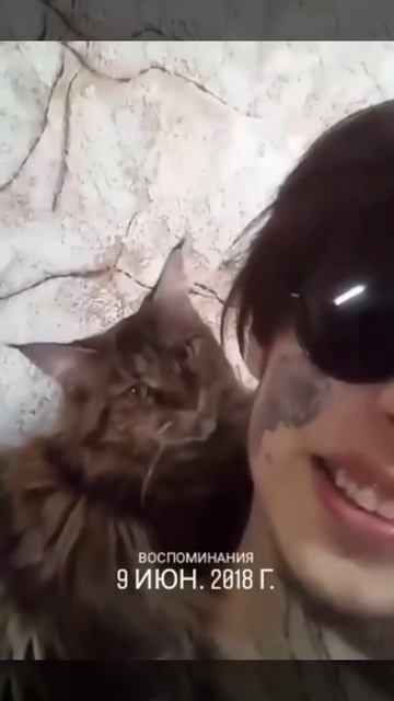 VID_20250420_153610_364.mp4