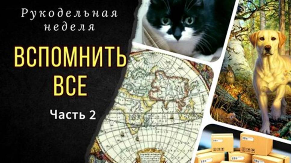 Вспомнить все_Покупки_Финиш_Блокировка салфетки_Смешные моменты смотреть онлайн