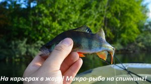 На карьерах в жару! Микро-рыба на спиннинг! Ловим с лодок. Июнь в подмосковье. Рыбалка с друзьями.