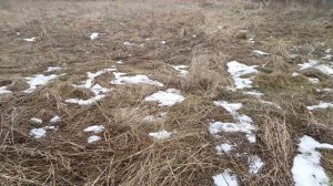 КАК РАЗРАБОТАТЬ ЗАРОСШИЙ