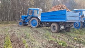 Трактора МТЗ-82, мтз-80( СССР) с комбайном сделанный своими руками для морковку.