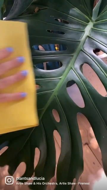 Light for plants ! смотреть онлайн