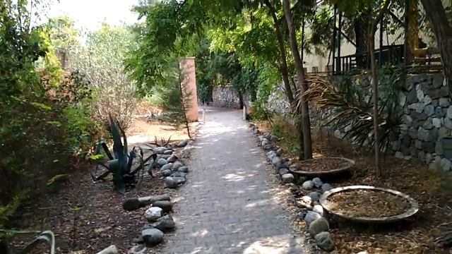 Пляж отеля Larissa Garden 4* Турция Бельдиби смотреть онлайн