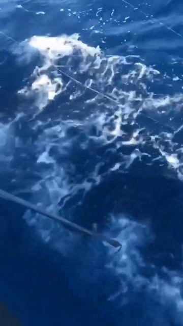 Fishing kings смотреть онлайн