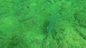 Часть 1  Лагуна и риф возле пляжа Унаватуна