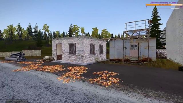 Динго в поисках Искры \ RP