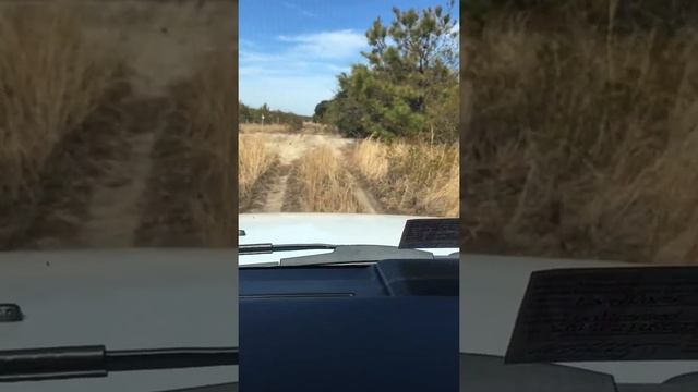 Corolla 4WD Beach - 2 - 2012 Range Rover Sport Autobiography смотреть онлайн