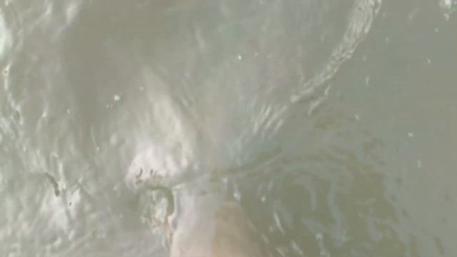 море и пляж возле отеля гарден си вью Паттайя