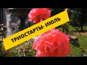 #триостарты_июль Итоги.