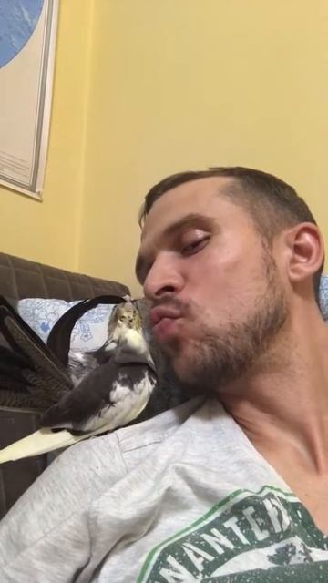 Любимый Лук, корелла смотреть онлайн