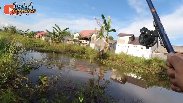 GAK DISANGKA !! MANCING LIAR DI BELAKANG RUMAH DAPAT NILA BABON смотреть онлайн