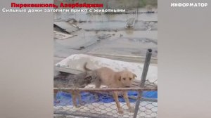 Новости_Сегодня_20_04_2025_Россия,_Москва,_Экстренный_вызов_новый выпуск Россия США Азербайджан