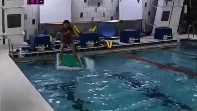 Aqua Board смотреть онлайн