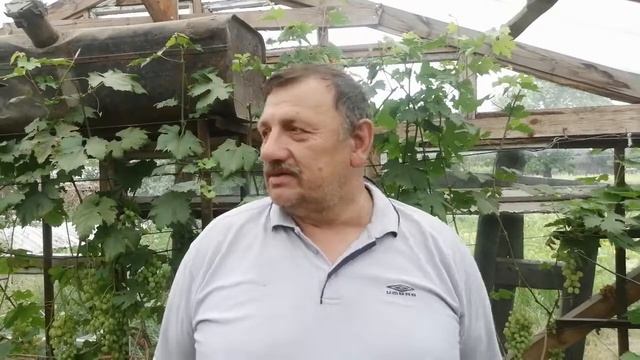 Выращиваем виноград вместе, ознакомительное видео