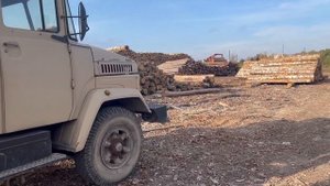 Фанерный кряж из березы 1-2с. сортировка