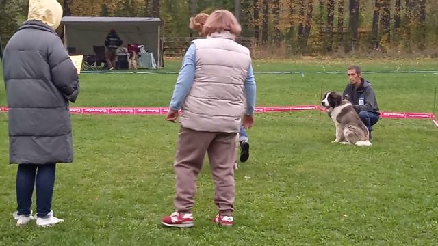 26 сентября 2022 г. смотреть онлайн