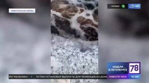 Мутные воды