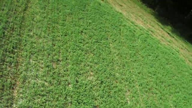 SYMA X5C Sunday Morning flight 7-26-2015 смотреть онлайн