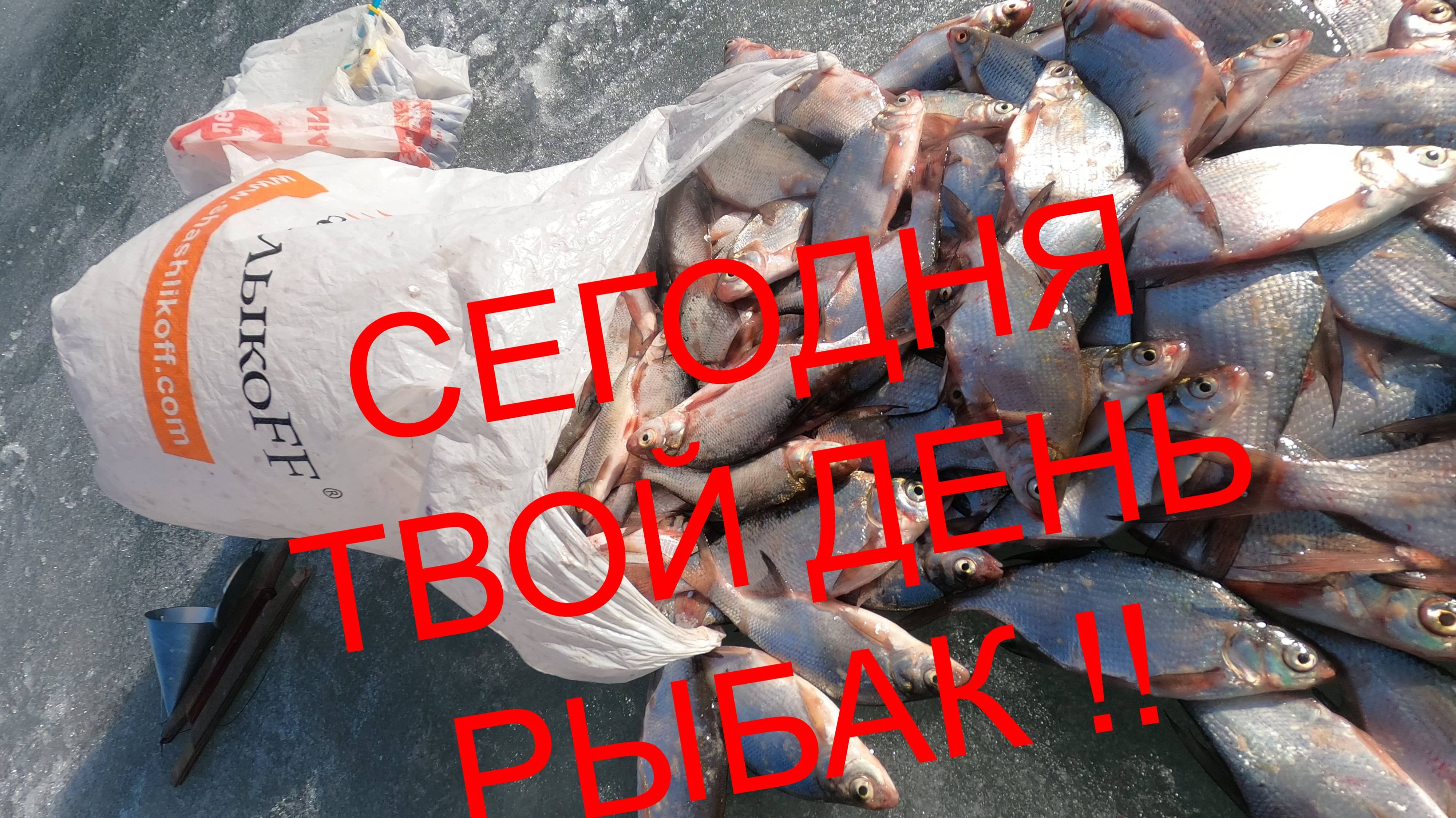 ПОСЛЕДНИЙ ЛЁД  - 2025 . САМАЯ ЛУЧШАЯ МОЯ РЫБАЛКА СЕЗОНА. ОТОРВАЛСЯ ПО Полной.ТОРФЯНОЕ ОЗЕРО .