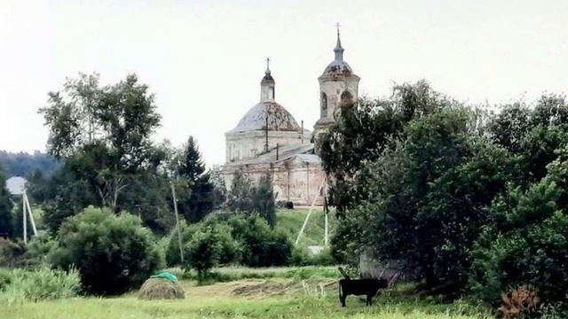 Родина смотреть онлайн