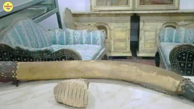 रामनगर किला संग्रहालय || ramnagar fort museum || Ramnagar fort Banaras || ramnagar fort ticket pric