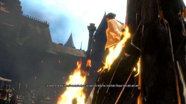 The Witcher 3 - PYRES OF NOVIGRAD(Meeting triss) смотреть онлайн