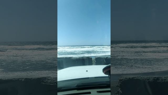 США.Калифорния.Океан. смотреть онлайн