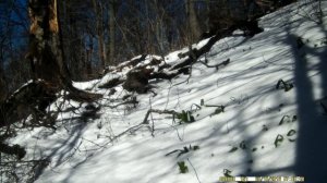 Конец зимы.