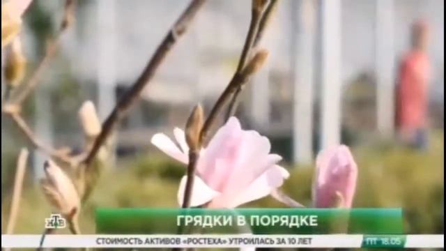 селекционеры смотреть онлайн