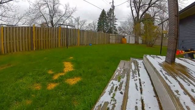 DJI vs Shark Byte - Air unit cam vs Foxeer Digisight v2