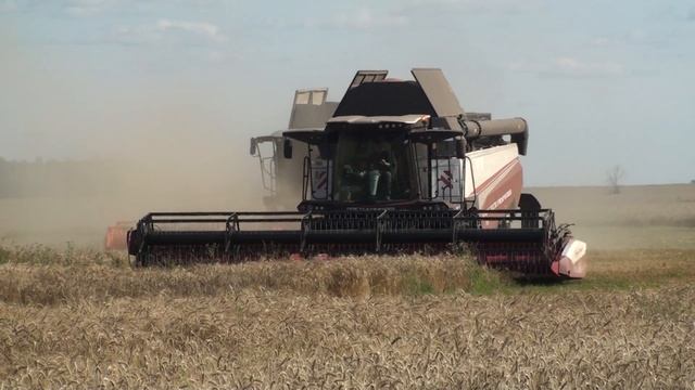 Уборка пшеницы в шойбулакском (й-ола). смотреть онлайн