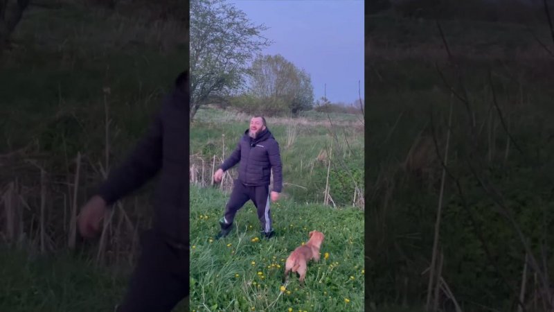 Весна... деревня... поэзия