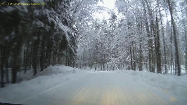 Зимний лес смотреть онлайн