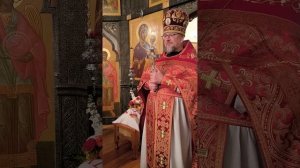 проповедь Благочинного Колпинского округа на Пасху Христову 20.04.25