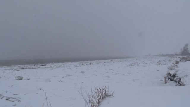Сюрпризы природы 20.04.2025