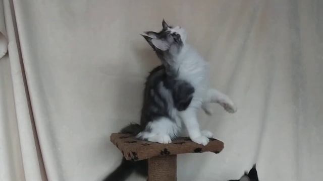 4 февраля 2022 г. смотреть онлайн