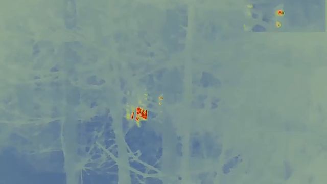 кабаны 2 смотреть онлайн