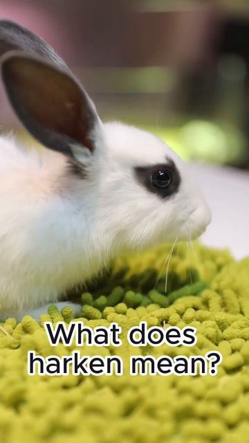 Harken Learn English Words смотреть онлайн