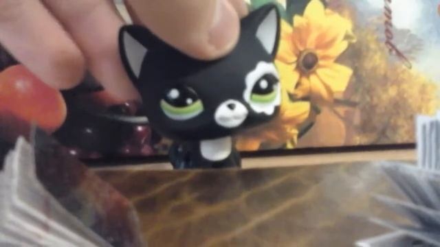 Лпс школа блогинга смотреть онлайн