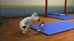 БЕРНАРД: Гимнастика