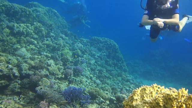 Дайвинг, Шарм Эль Шейх смотреть онлайн