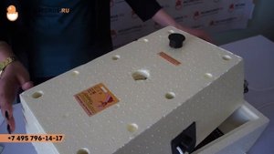 Обзор инкубатора золушка 28