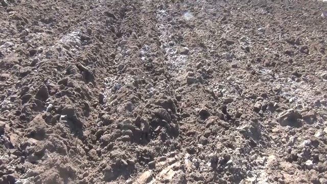 Фиаско на пахоте трактором Т-25